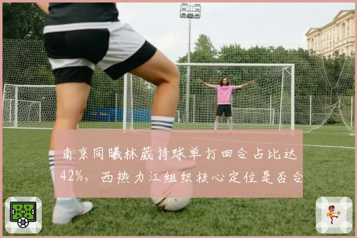 南京同曦林葳持球单打回合占比达42%，西热力江组织核心定位是否合理？